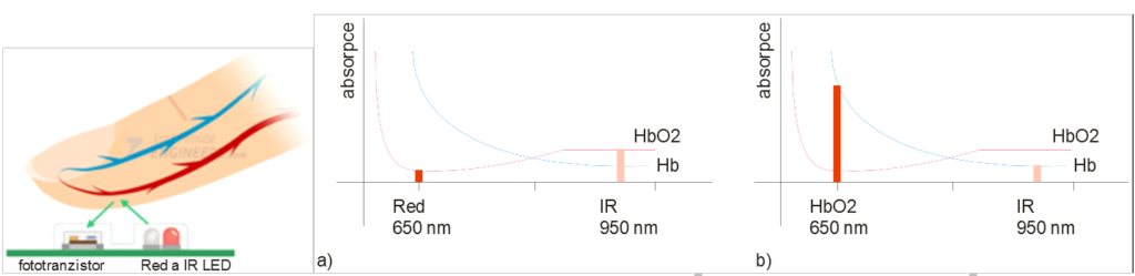 Obr.1: Princip měření okysličení krve, snímání paprsků Red a IR z prstu, a) velikost absorpce z teply (okysličený hemoglobin), b) velikost absorpce ze žíly (hemoglobin bez kyslíku)
